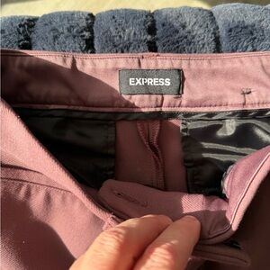 Express dress pants